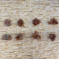 Small Aragonite Sputnik 