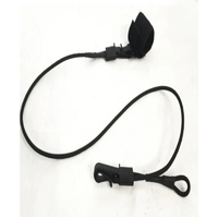 Bungee Cord