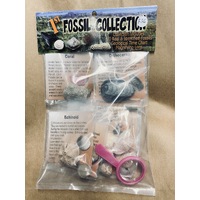 Fossil Collection Kit