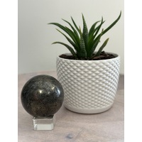 Pyrite in Magnetite Sphere