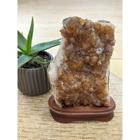 Standing Citrine Cluster
