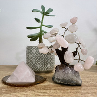Rose Quartz Pyramid #003