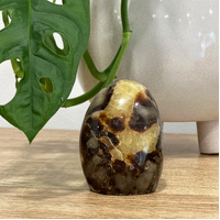 Septarian Stone Freeform