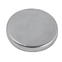 Rare Earth Magnet