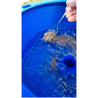 Blue Bowl VortexPro
