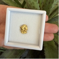1.81g Gold Nugget