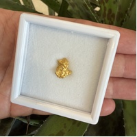 2.73g Gold Nugget