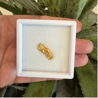 2.83g Gold Nugget