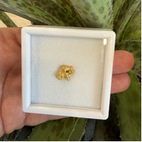 2.50g Gold Nugget