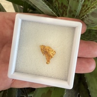 1.74g Gold Nugget