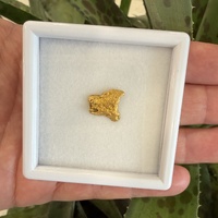 2.16g Gold Nugget