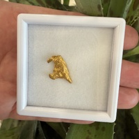 2.22g Gold Nugget