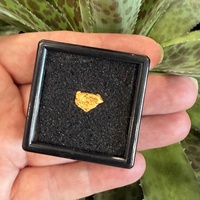 1.16g Gold Nugget
