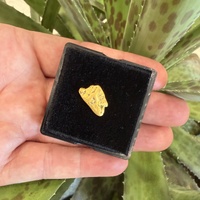1.80g Gold Nugget