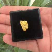 1.80g Gold Nugget