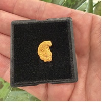 1.47g Gold Nugget