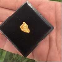 2.60g Gold Nugget