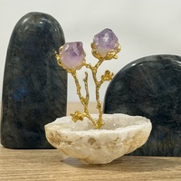 Amethyst Plant