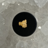 0.89g Gold Nugget