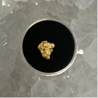 1.26g Gold Nugget