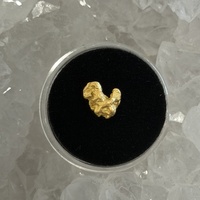 0.89g Gold Nugget