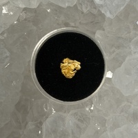 1.07g Gold Nugget