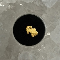1.41g Gold Nugget