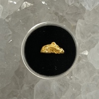 1.54g Gold Nugget