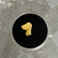 0.87g Gold Nugget