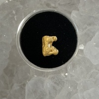 1.07g Gold Nugget