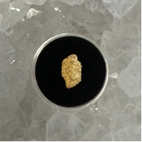 1.23g Gold Nugget