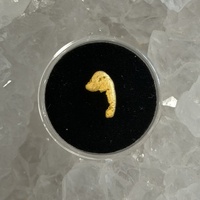 1.11g Gold Nugget