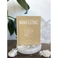 The Little Book of Manifesting