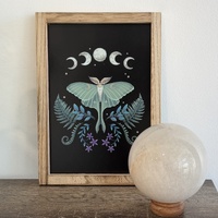 Luna Moth Wooden Framed Wall Art