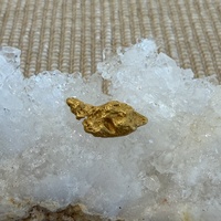 1.16g Gold Nugget