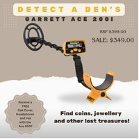 ACE 200i Metal Detector