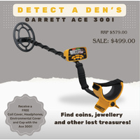 ACE 300i Metal Detector