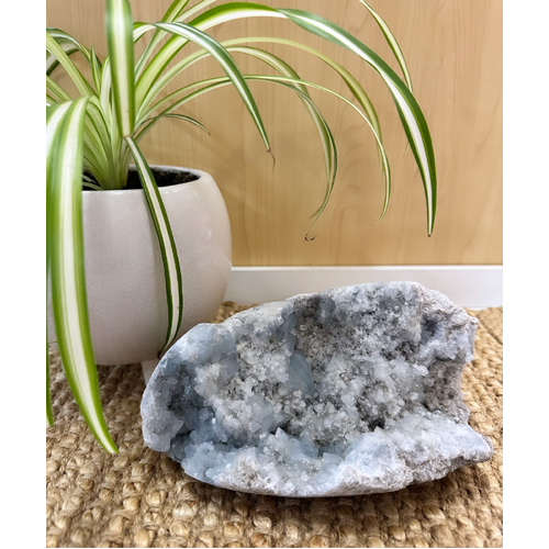 Celestite Cluster