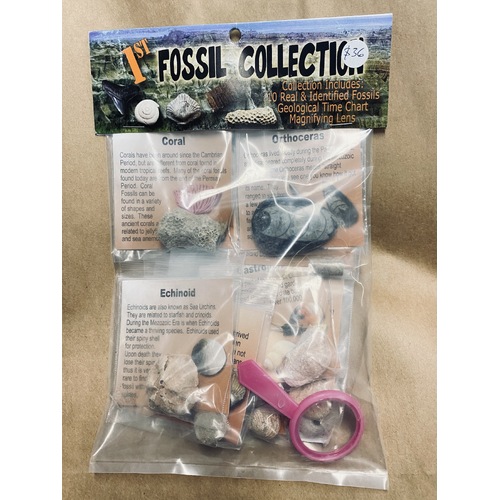 Fossil Collection Kit
