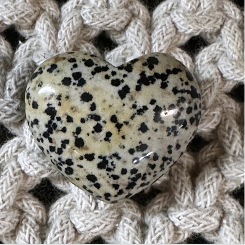 Dalmatian Jasper Heart