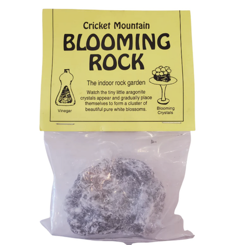 Blooming Rock