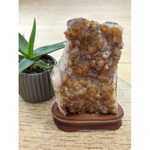 Standing Citrine Cluster