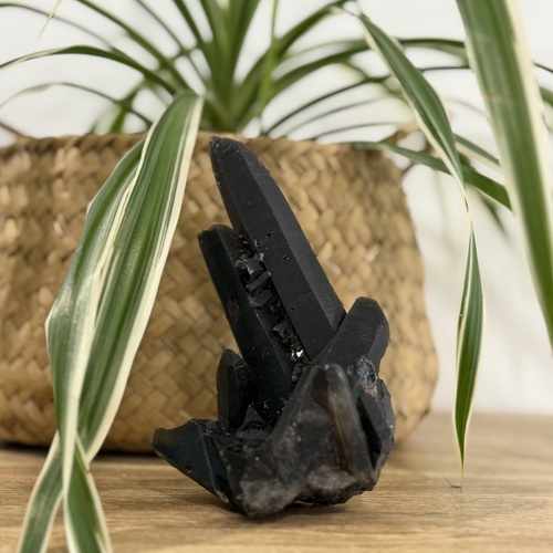 Smoky Quartz Cluster