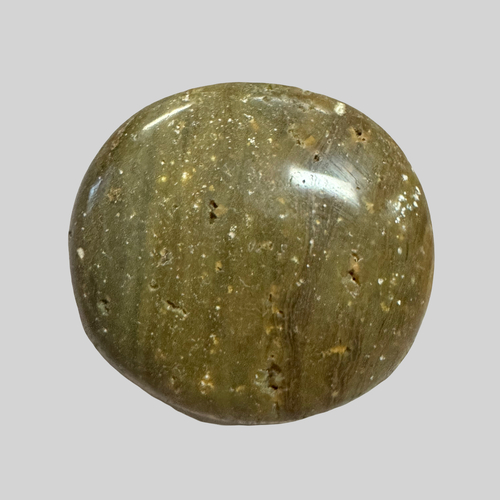 Ocean Jasper Palmstone