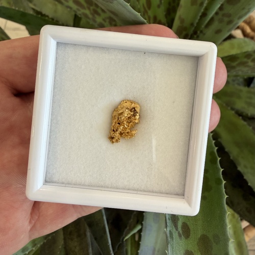 2.53g Gold Nugget