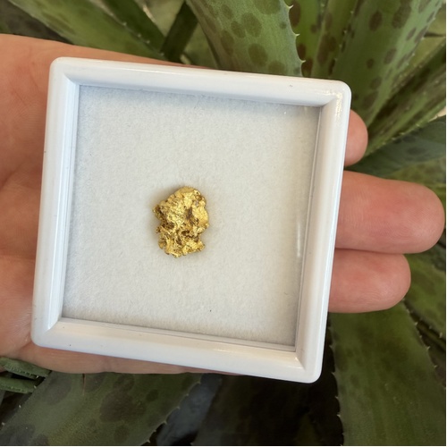1.81g Gold Nugget