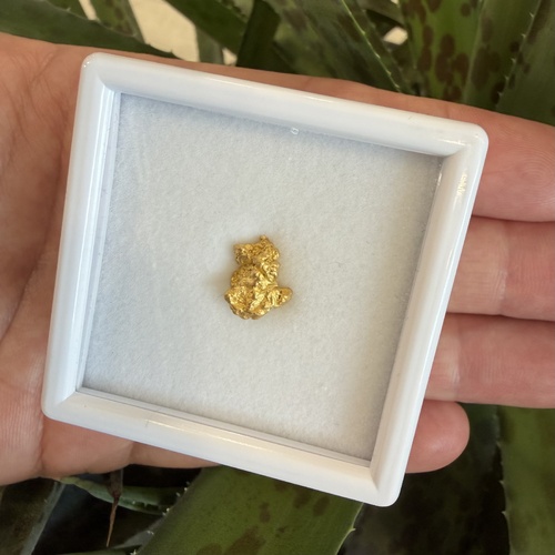 2.73g Gold Nugget
