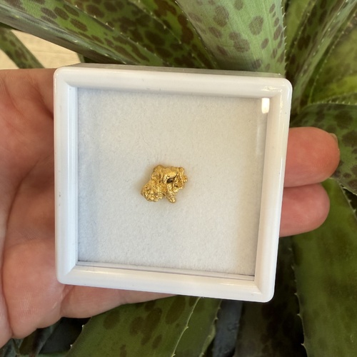 2.50g Gold Nugget