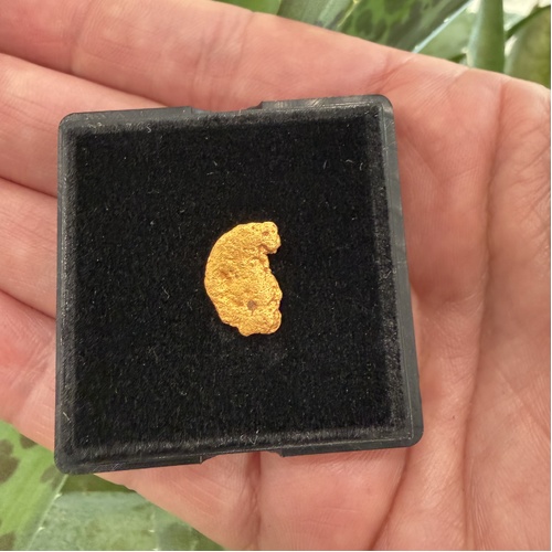 1.47g Gold Nugget