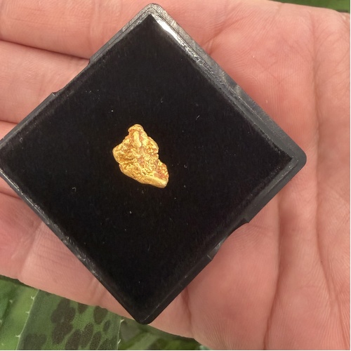 2.60g Gold Nugget